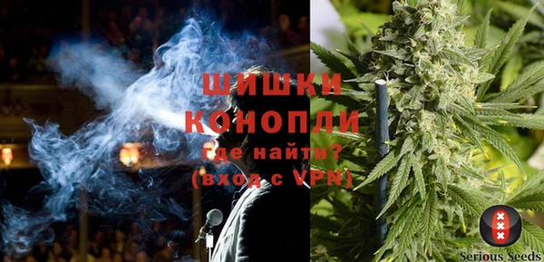 ГАЛЛЮЦИНОГЕННЫЕ ГРИБЫ Армянск