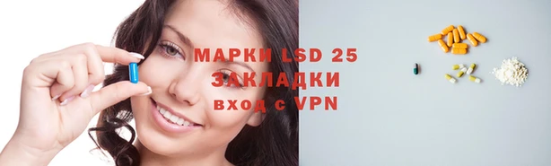 кокс Аркадак