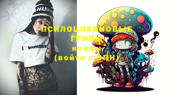 ГАЛЛЮЦИНОГЕННЫЕ ГРИБЫ Армянск