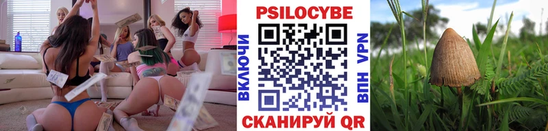 Псилоцибиновые грибы мицелий  купить наркоту  Новосокольники 