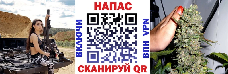 Конопля AK-47  где купить   MEGA ссылки  Новосокольники 